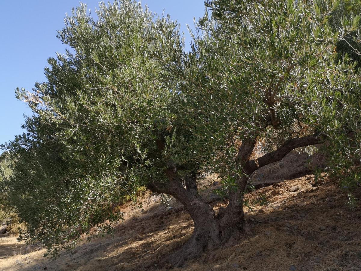 Villa Lir Tholos  外观 照片